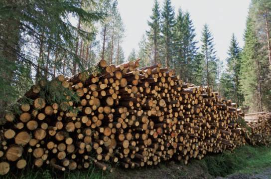 松堡王國(guó):頂級(jí)芬蘭松鑄就孩子的美好城堡 松堡王國(guó):頂級(jí)芬蘭松鑄就孩子的美好城堡