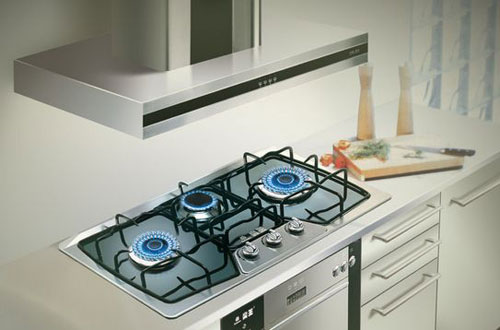 清楚大環(huán)境情況 灶具企業(yè)結(jié)合實(shí)力打開(kāi)局面 清楚大環(huán)境情況 灶具企業(yè)結(jié)合實(shí)力打開(kāi)局面