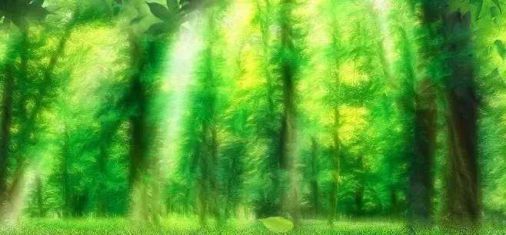 品牌產品|雪寶森林有氧板，有效釋放負氧離子長達15年