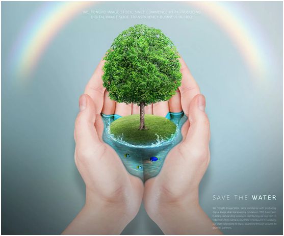 華洲木業(yè),正在崛起的環(huán)保王國 華洲木業(yè),正在崛起的環(huán)保王國