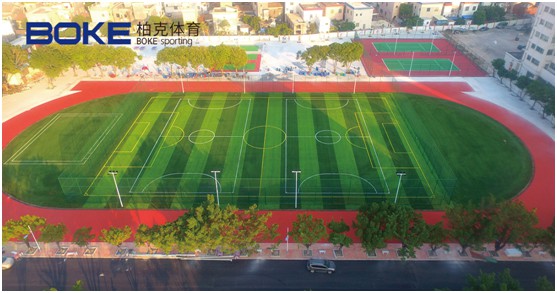 柏克體育：不斷追求卓越，品質鑄就品牌