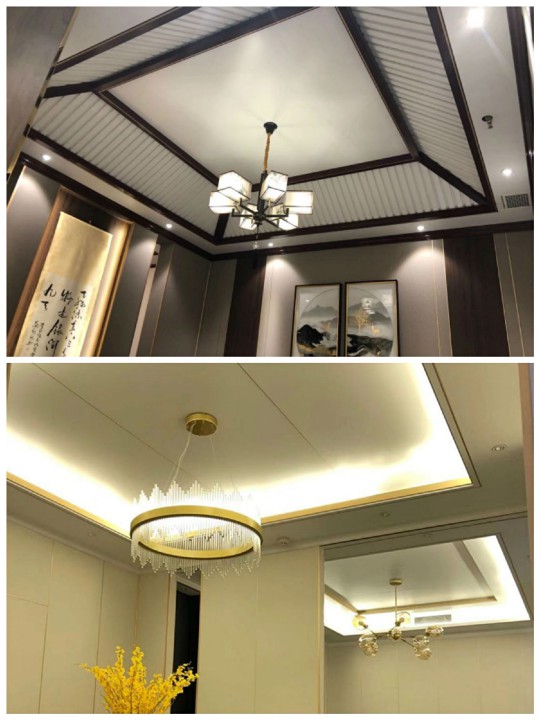 寶仕龍大板全景頂：高品質(zhì) 零擔(dān)憂(yōu)