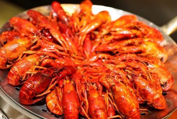 選用子彈頭心焰九腔鴛鴦雙爐灶,健康和時間皆可兼得! 選用子彈頭心焰九腔鴛鴦雙爐灶,健康和時間皆可兼得!