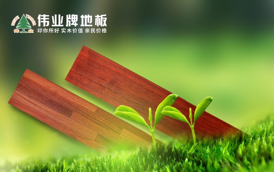 優秀的地板長什么樣子?偉業牌地板告訴你 優秀的地板長什么樣子?偉業牌地板告訴你