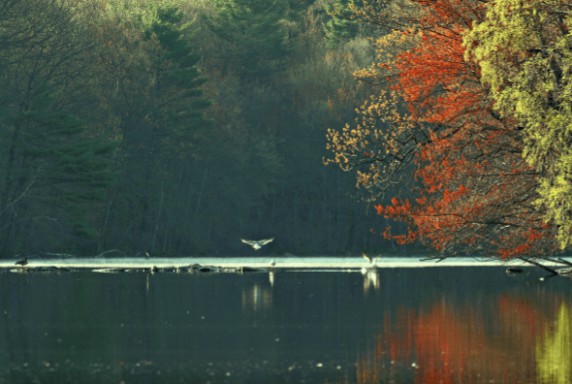 海爾雙增壓零冷水熱水器TR7，水流即刻沖走汗水和暑氣