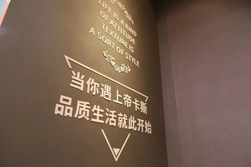【2020廣州建博會】帝卡斯藝術漆獨領風騷 展館人氣爆棚！