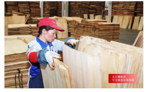 大王椰A7家具板:5A級精選環(huán)保原材,健康挑出來 大王椰A7家具板:5A級精選環(huán)保原材,健康挑出來