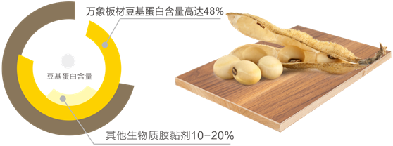 健康新主張 守護家的溫暖:萬象第三代豆基蛋白板材閃亮登場!